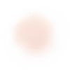 DECORTE Loose Powder