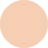 DECORTE The Skin Cushion Foundation Fresh