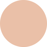 DECORTE The Skin Cushion Foundation Fresh