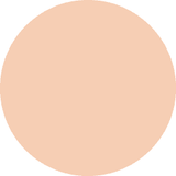 DECORTE The Skin Powder Foundation Air