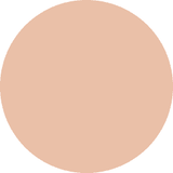 DECORTE The Skin Powder Foundation Air