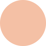 DECORTE The Skin Powder Foundation Air