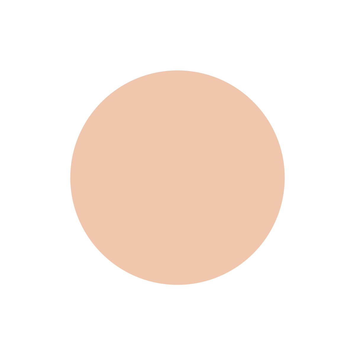 AQ Tone Perfecting Cream Concealer