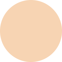 DECORTE The Skin Cushion Foundation Fresh