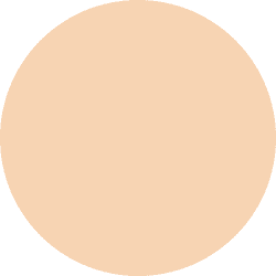 DECORTE The Skin Powder Foundation Air